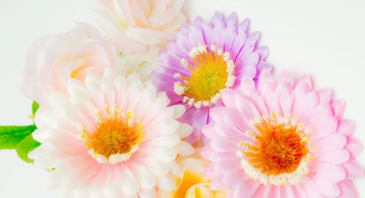 100円ショップの造花